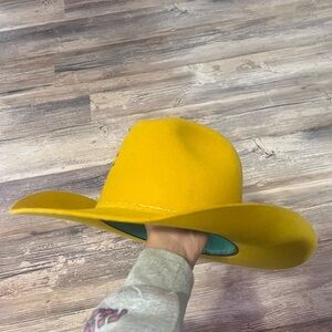 Gold Digger Charlie 1 Horse